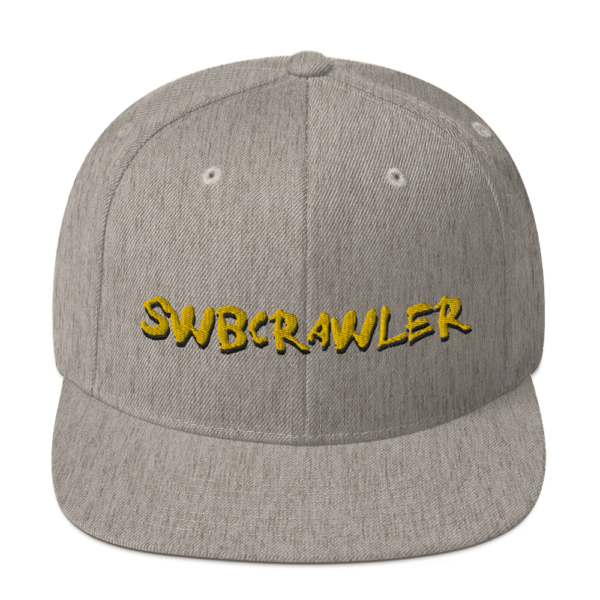 Snapback Hat - Image 14