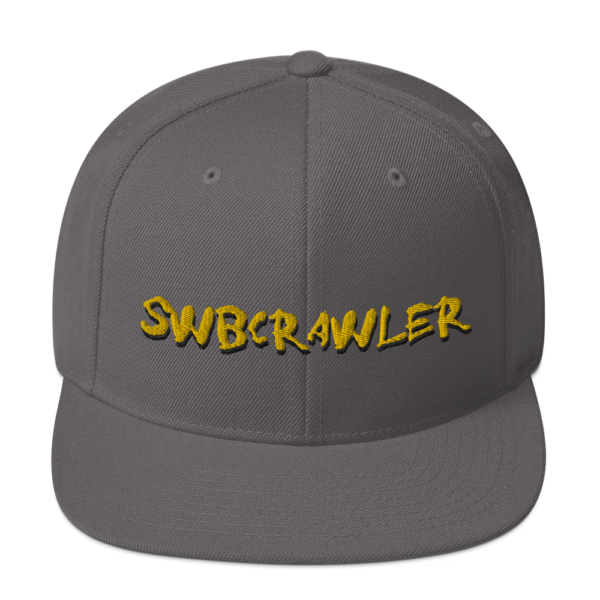 Snapback Hat - Image 8