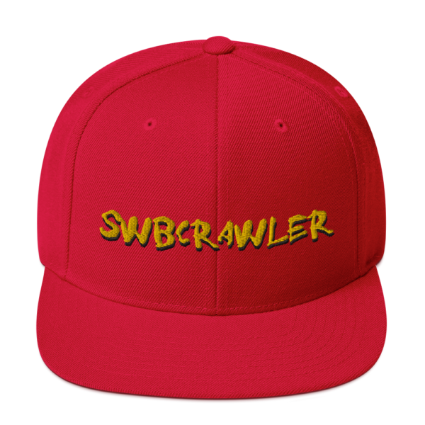 Snapback Hat - Image 20