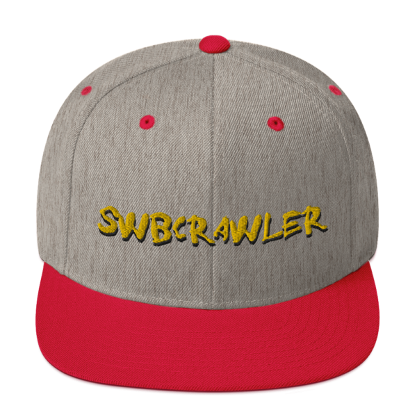 Snapback Hat - Image 15