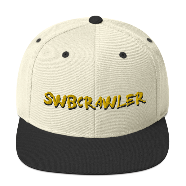 Snapback Hat - Image 18