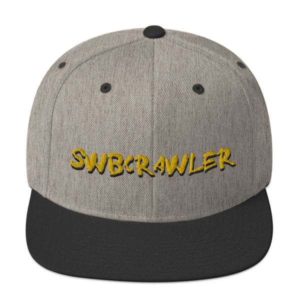 Snapback Hat - Image 13