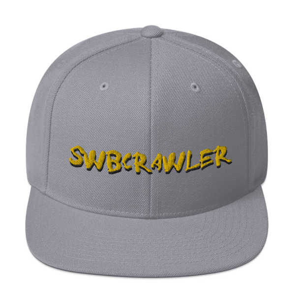 Snapback Hat - Image 16