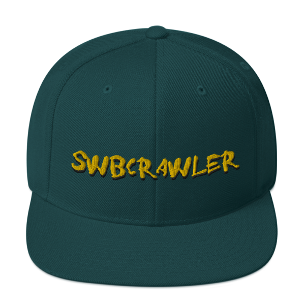 Snapback Hat - Image 12