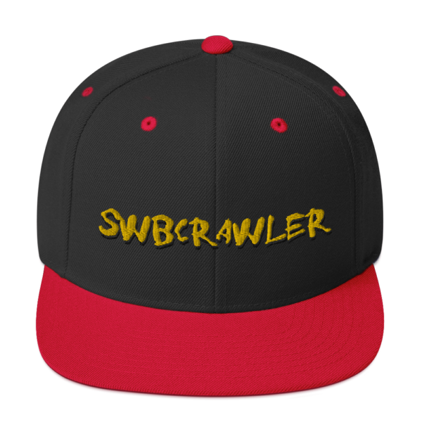 Snapback Hat - Image 4