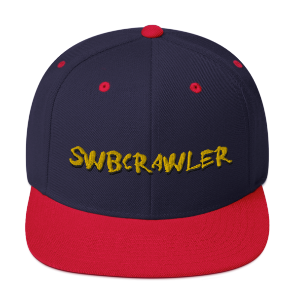 Snapback Hat - Image 11