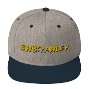 Snapback Hat